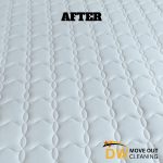 mattress-cleaning-dw-move-out-cleaning-singapore-condo-bukit-timah-5