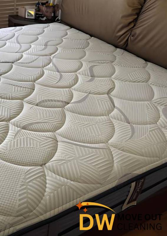 mattress-cleaning-services-dw-move-out-cleaning-singapore-hdb-bukit-merah-1